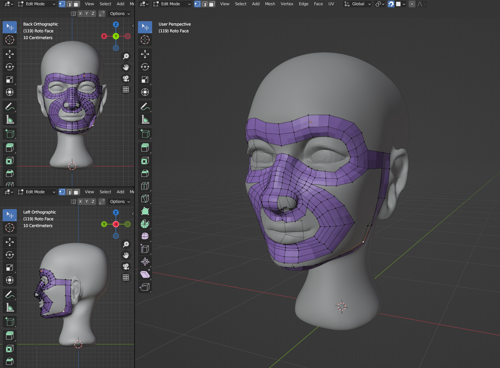 Début d'un modèle 3D d'une tête humaine