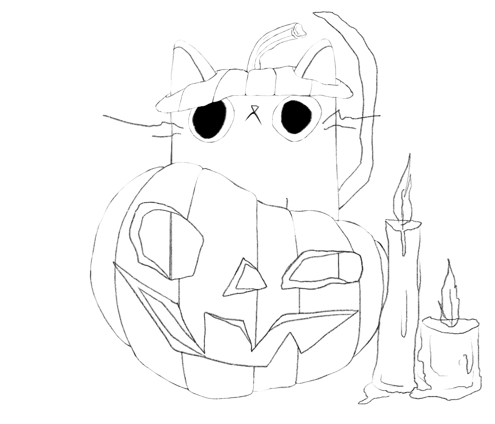 Croquis d'un chat dans une citrouille