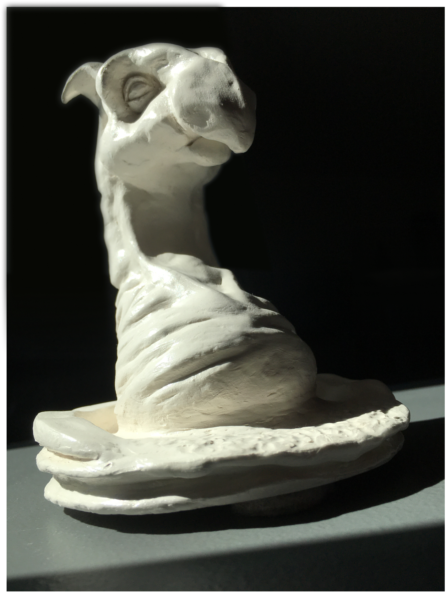 Image finale du projet